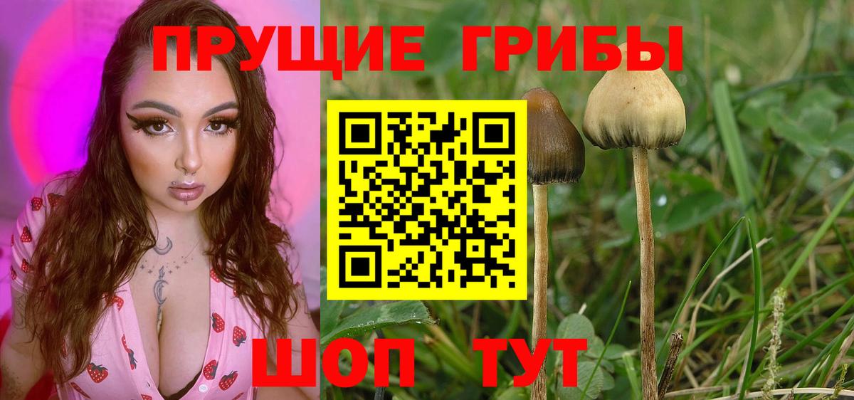 Галлюциногенные грибы мухоморы Одинцово
